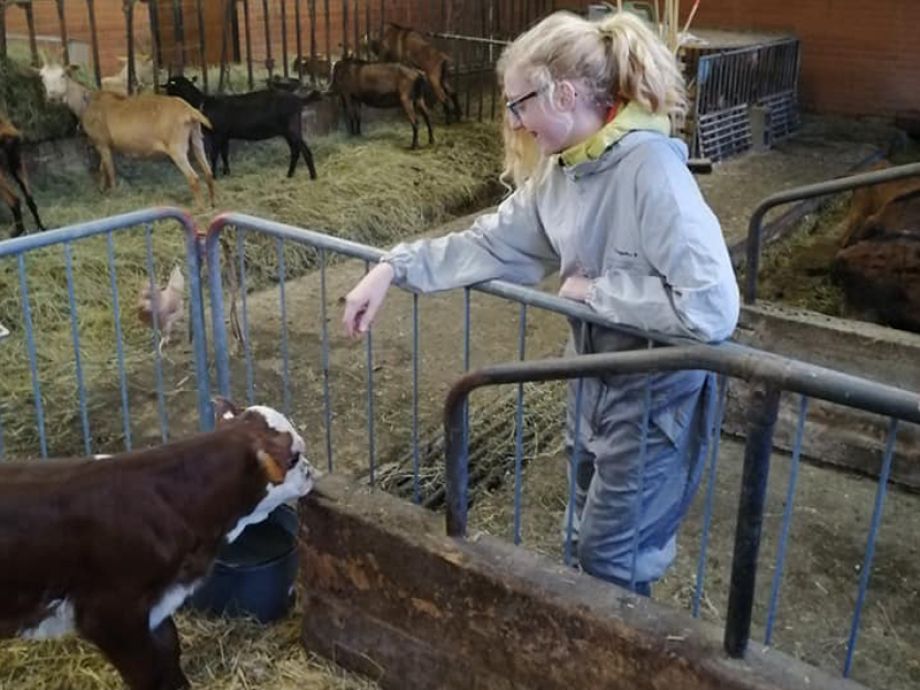 la petite ferme du bonheur- attività